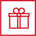 icon geschenk